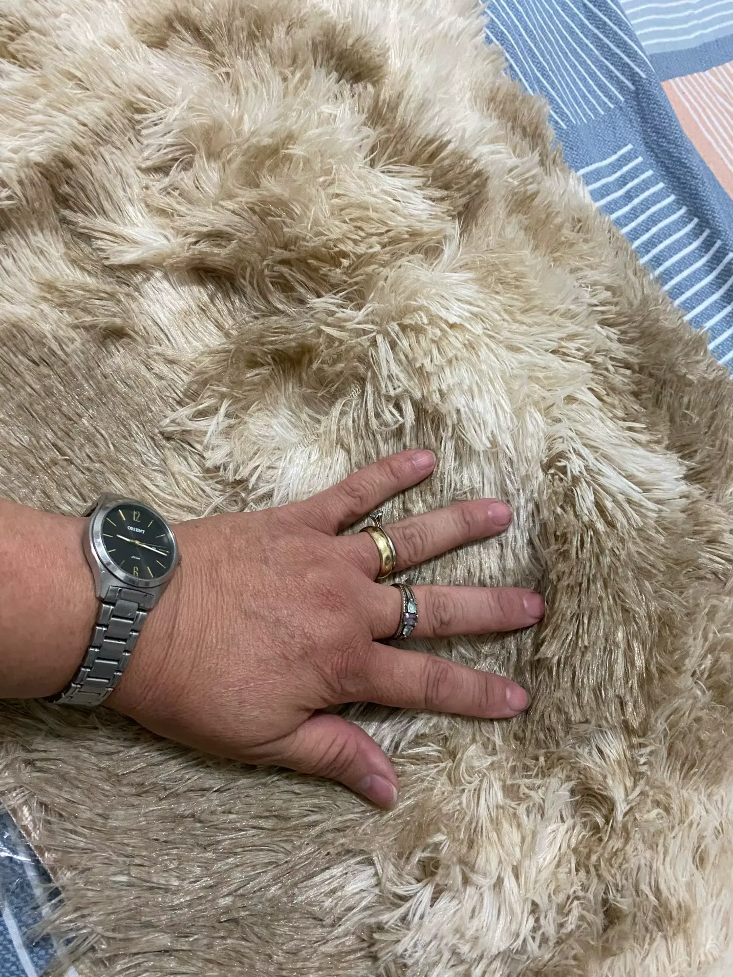 Customer photo
